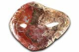 Colorful Polished Petrified Wood Bowl - Madagascar #346831-1